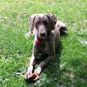 Meet your Posher, Marie-andree